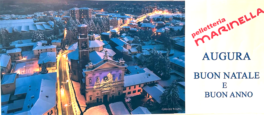 Pelletteria Marinella Augura Buon Natale e Buon Anno - Vista panoramica del centro di Olgiate Comasco  innevato
